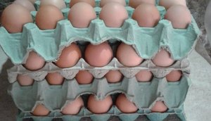 OVOS
