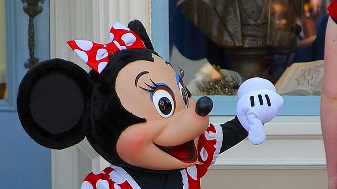 Turista pede Minnie Mouse em casamento