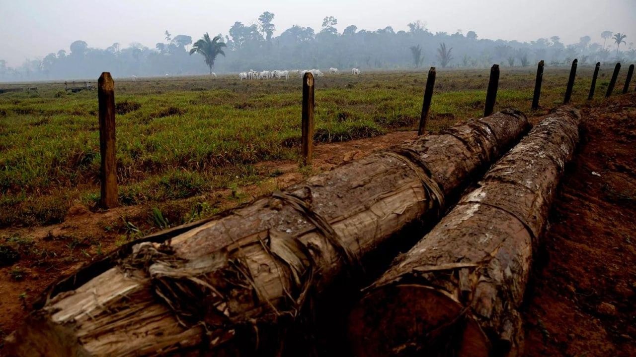 Inpe aponta maioria das queimadas no Amazonas em propriedades privadas