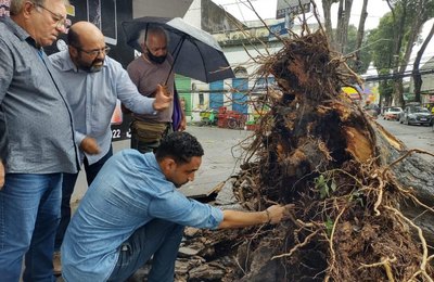 Desenvolvimento Sustentável realiza inspeção em árvores no Centro de Maceió