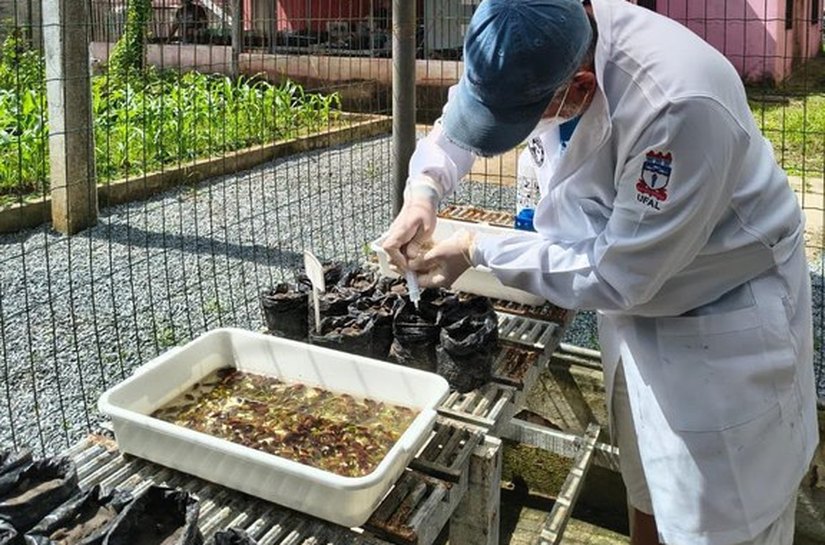 Ufal integra projeto campeão de prêmio nacional de preservação ao Meio Ambiente