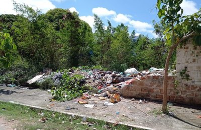 População pode denunciar abandonos de terrenos e proprietários podem ser punidos