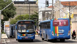 onibus