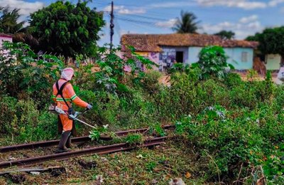 Prefeitura inicia mutirões de limpeza em toda linha férrea de Arapiraca 
