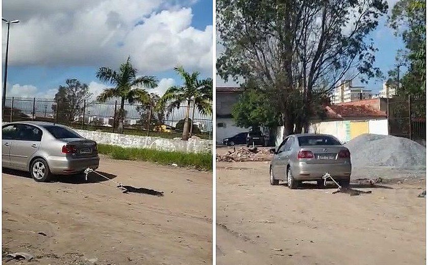 Polícia identifica motorista que arrastou cachorro pelas ruas de Maceió