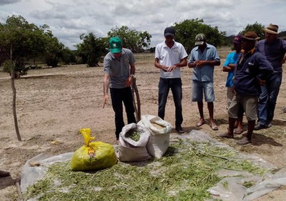 Dia de campo ensina estratégias para agricultores lidarem com a seca