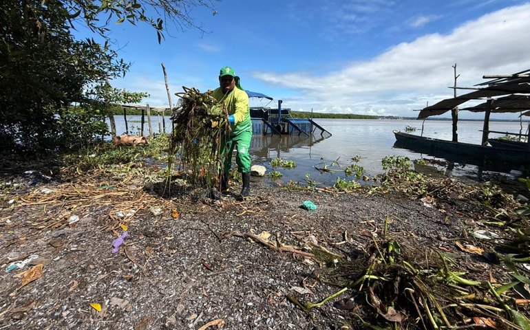 Alurb inicia ações para conter avanço das Baronesas na Lagoa Mundaú