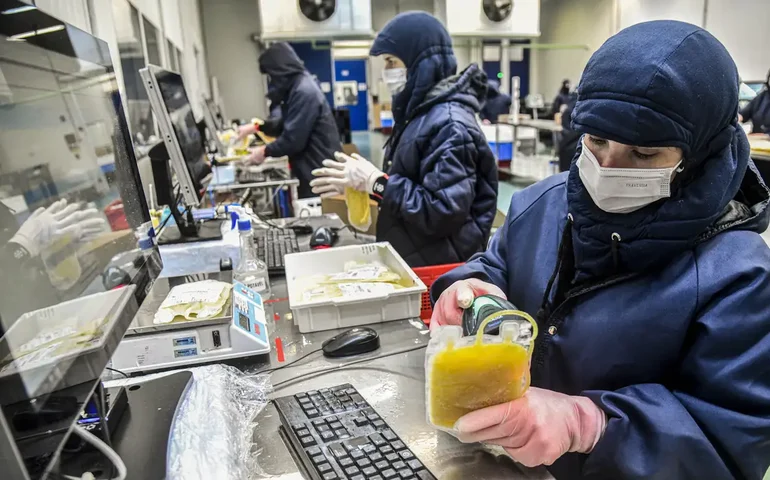 Dia Mundial da Hemofilia: campanha reforça importância do diagnóstico