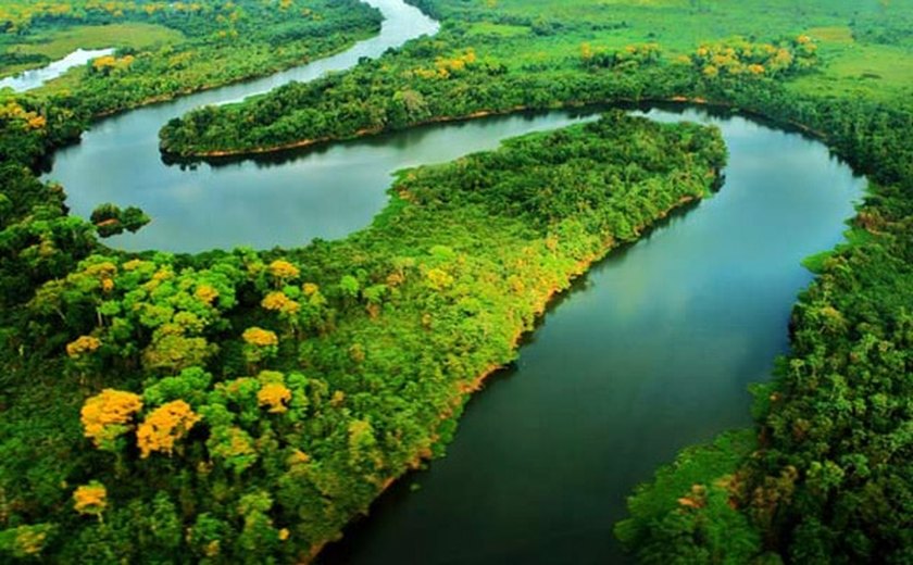 CMA recria Subcomissão do Pantanal e debaterá Fundo Amazônia