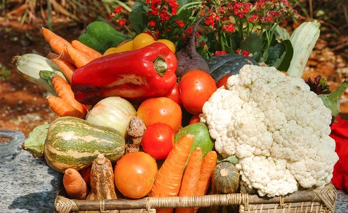 Recursos vão para programas de segurança alimentar e combate à fome do Ministério do Desenvolvimento e Assistência Social Recursos vão para programas de segurança alimentar e combate à fome do Ministério do Desenvolvimento e Assistência Social