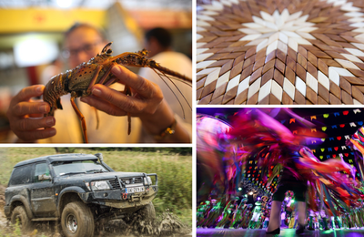Novembro está recheado de eventos culturais, gastronômicos e esportivos em todo o Brasil