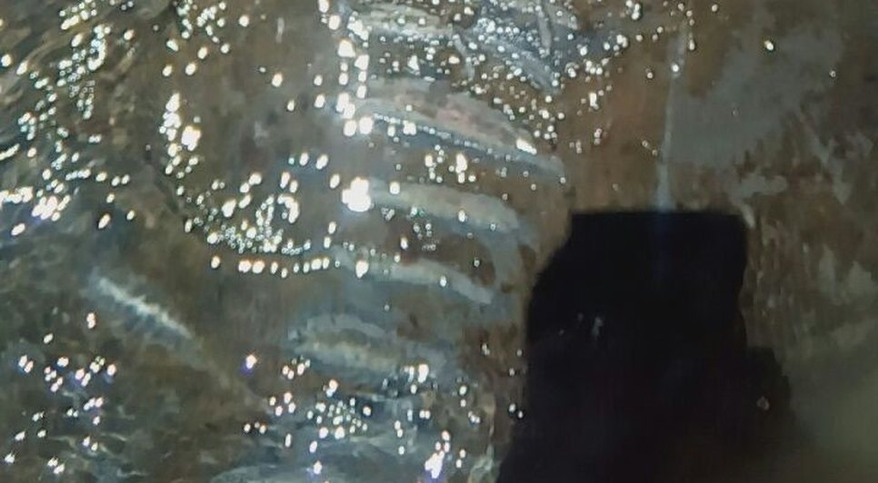 astro ferido 