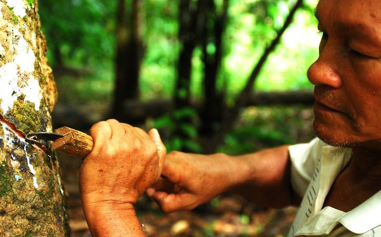 Romance gráfico recria cotidiano e conflitos de vilarejo de seringueiros
