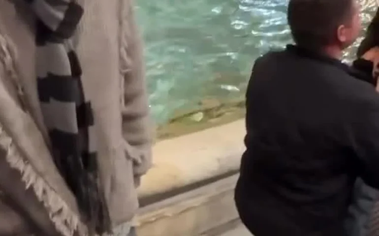 Amor cativante: pedido de casamento em Roma viraliza nas redes sociais