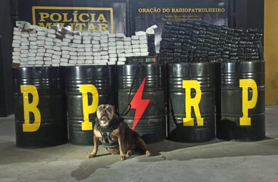 Foto: PMSE / Foto: Foto: PMSE