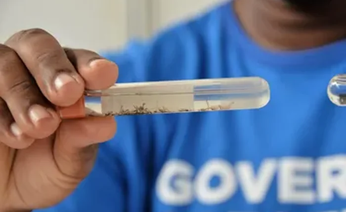 Casos prováveis de dengue caem 58% em Alagoas entre janeiro e outubro de 2025