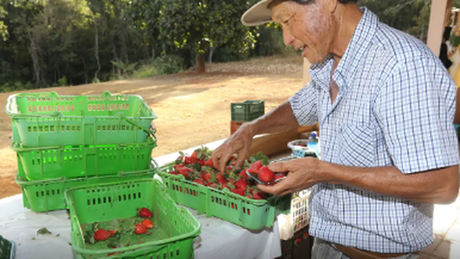 Finep vai pagar R$ 220 milhões para inovações em agricultura familiar