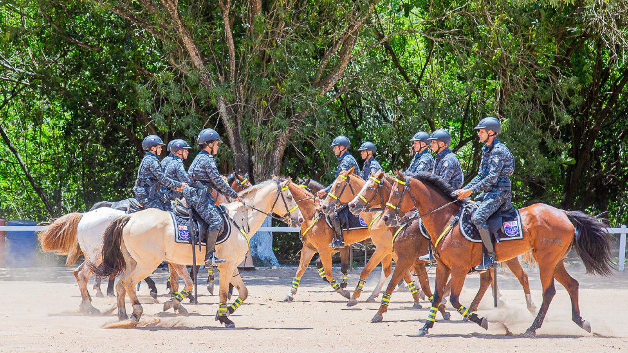 PM forma 10 militares no Curso de Policiamento Montado