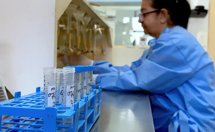 Infecção foi causada por estreptococos