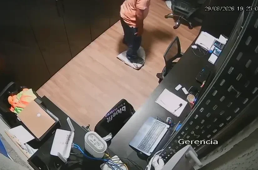 Justiça manda prender funcionários de academia por morte de gata em Maceió