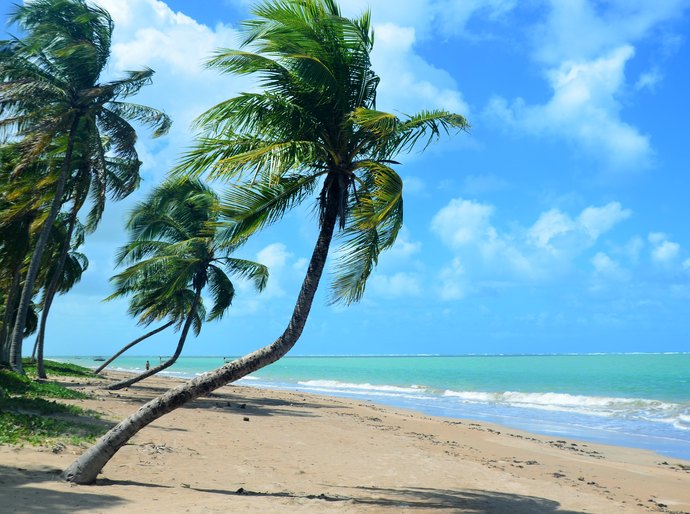 Seis destinos imperdíveis para viajar com o Sesc em Alagoas; confira