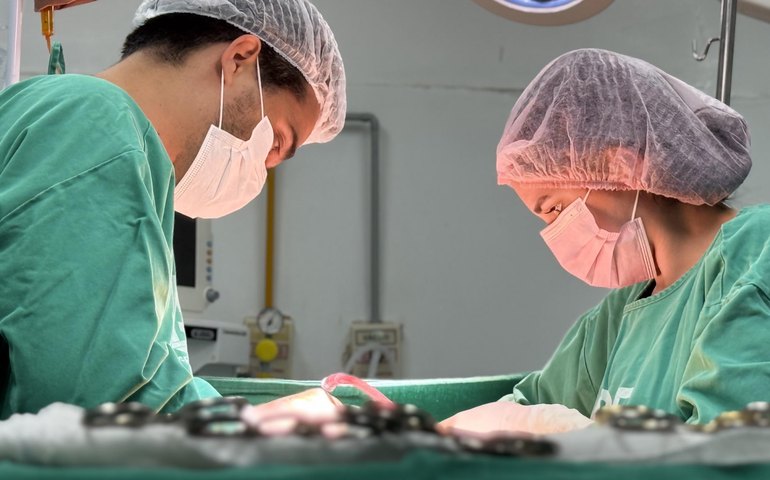 HGE inicia o fim de semana realizando captação de dois rins e um fígado para transplante