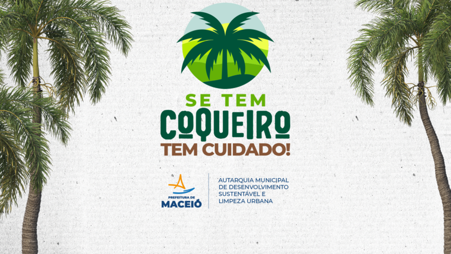 Prefeitura lança na quinta (11) projeto 'Se tem Coqueiro tem Cuidado' no Pontal da Barra