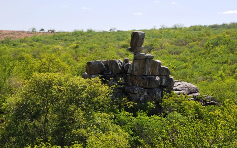 IMA reforça a importância da criação de Unidades de Conservação municipais em Alagoas
