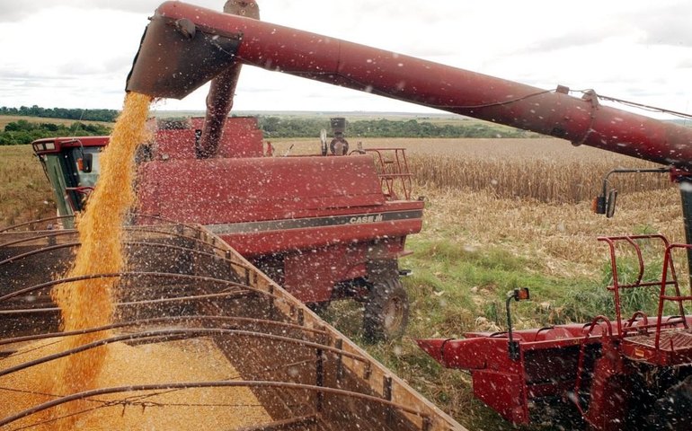 ‘Precisamos ser antirracistas’, diz Lula, no Dia da Consciência Negra