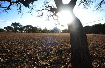 Municípios podem receber mais de R$ 5 milhões para iniciativas voltadas à mudança do clima	