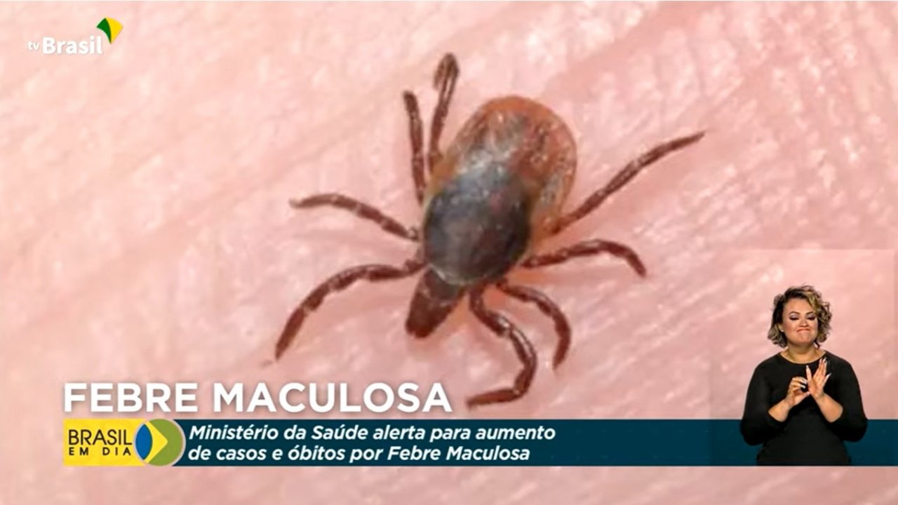Ministério da Saúde alerta sobre mortes por febre maculosa