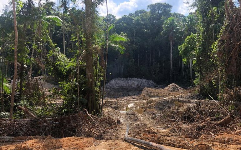 A dimensão da grilagem em florestas públicas na Amazônia