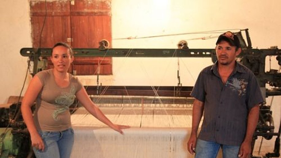 Algodão gera emprego e renda para produtores familiares e artesãos