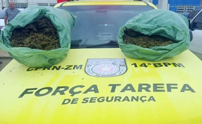 Maconha in natura apreendida durante operação