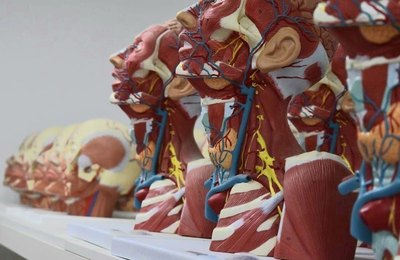 Atenção aos prazos de inscrição para os vestibulares de Medicina