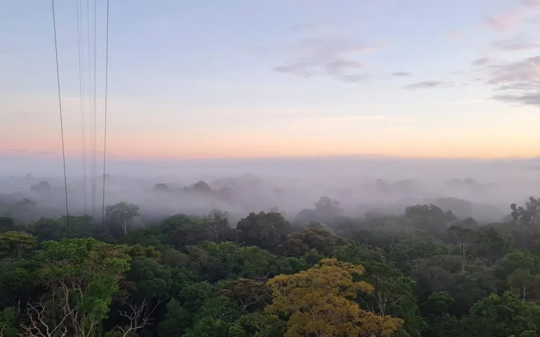 Pouco estudada, névoa da Amazônia tem papel ambiental, indica pesquisa