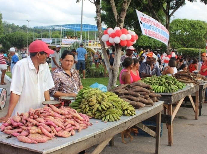 Famílias em situação de vulnerabilidade de Cajueiro recebem cestas de produtos orgânicos