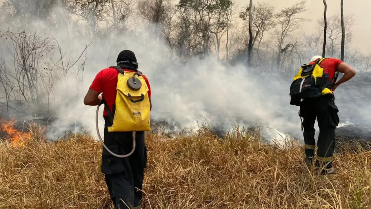 Brasil envia equipe de bombeiros para combater incêndios na Bolívia