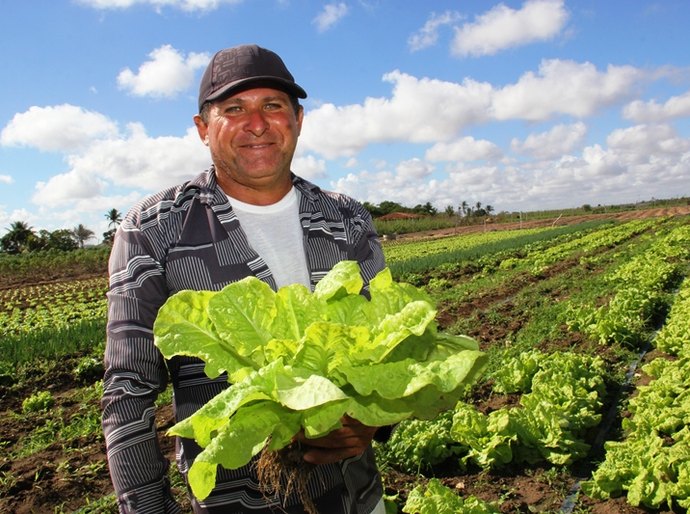 Arapiraca: Programa de Aquisição de Alimentos incentiva agricultura familiar