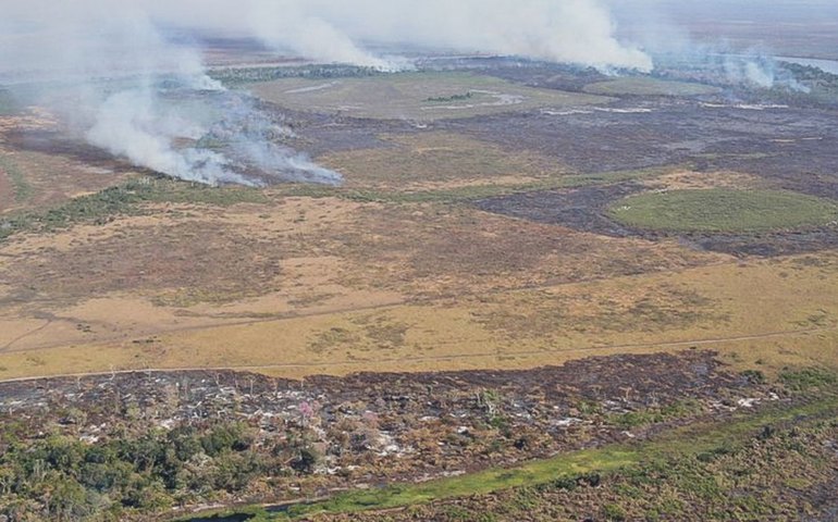 Emissão de gases por incêndios é recorde em dois estados