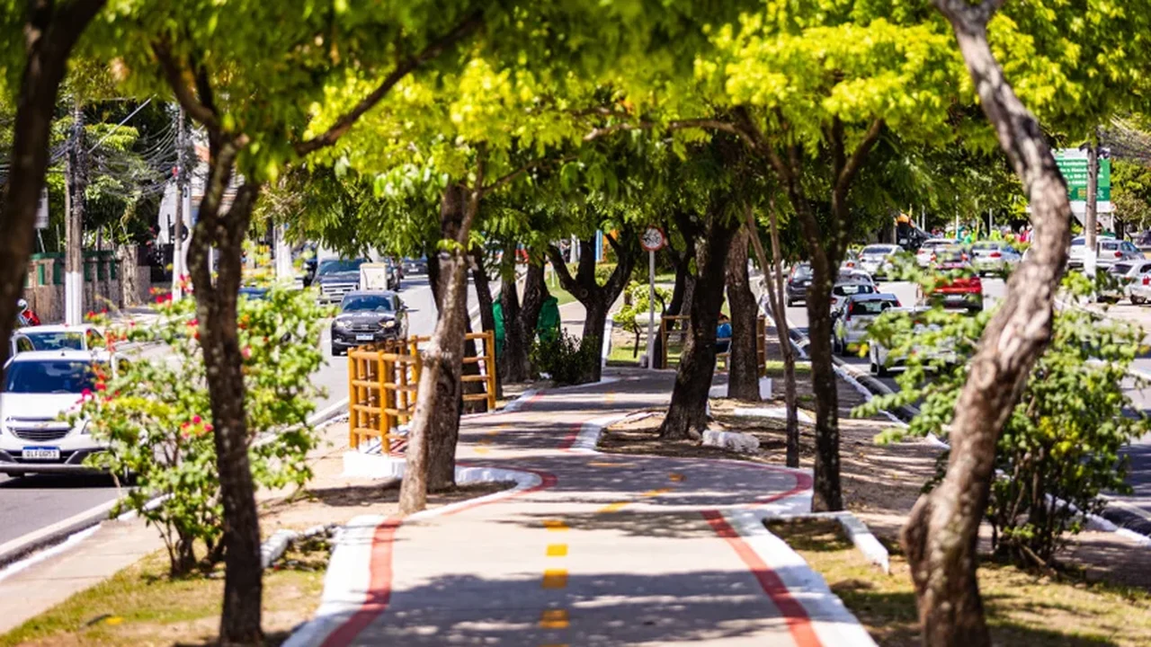 Alagoas Avança Rumo a Cidades Mais Verdes com o Plano Estadual de Arborização Urbana