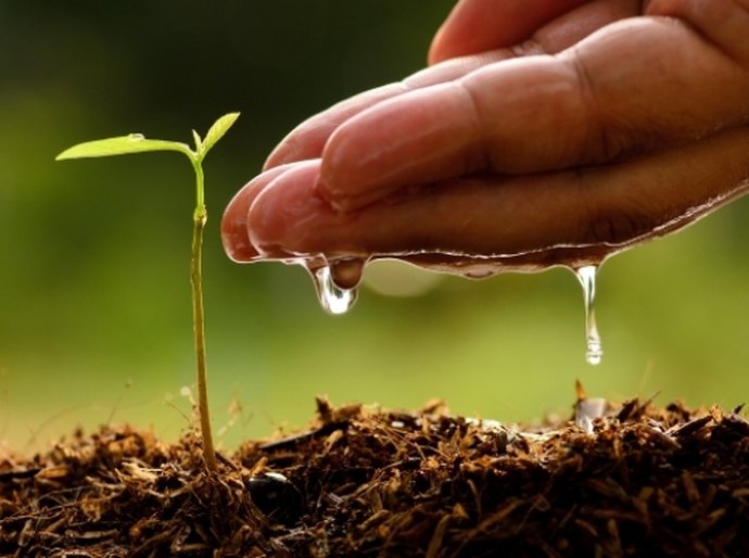 Secretários de Agricultura do NE discutem distribuição de recursos