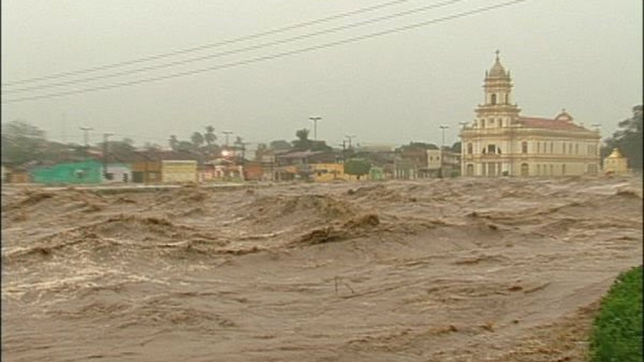 A solidariedade, em meio ao caos
