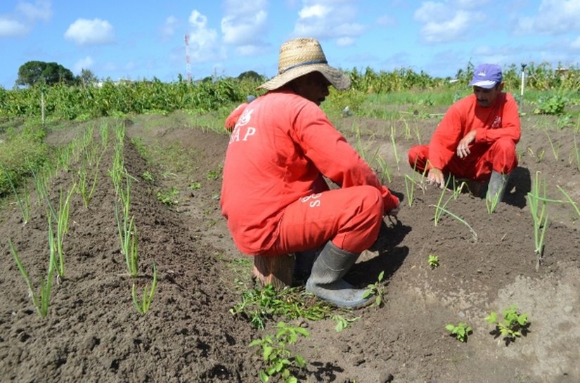 Seris dissemina boas práticas na Semana Nacional de Ciências e Tecnologia