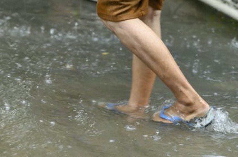 Com o período chuvoso se aproximando, Alagoas acendo o alerta casos de leptospirose