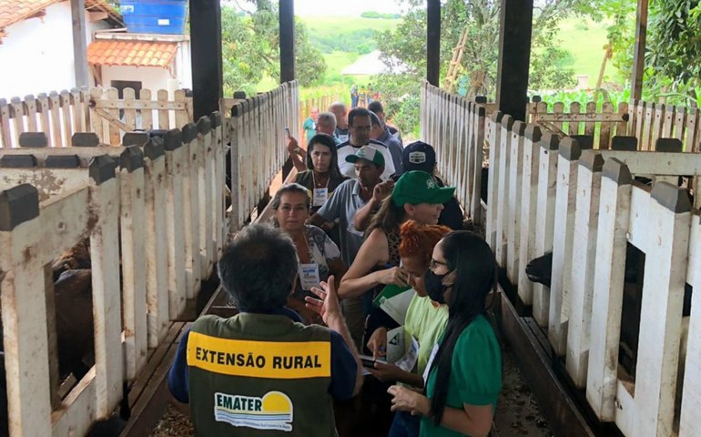 Emater discute diversidade na pecuária em pequenas propriedades durante visita técnica