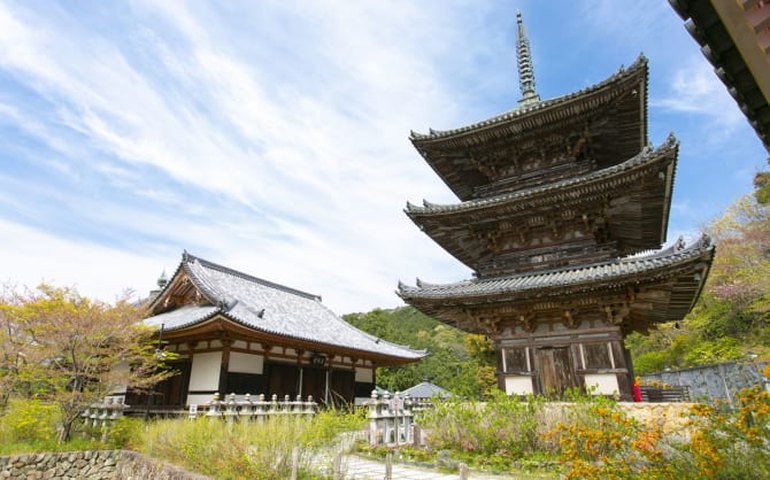 Dez anos depois, família japonesa descobre que mãe havia morrido dentro de casa