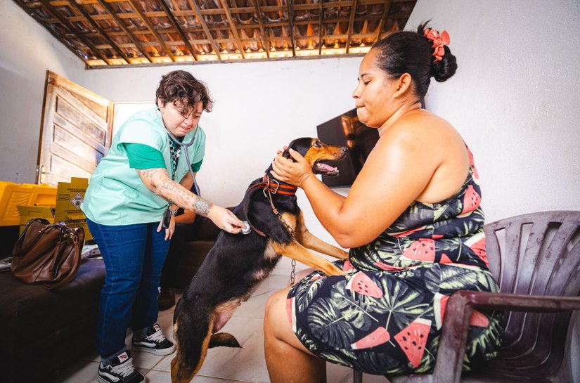Prefeitura de Maceió garante atendimento veterinário a quem mais precisa