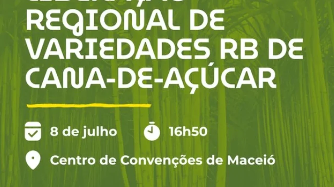 Setor sucroenergético ganha novas variedades de cana com participação da Ufal