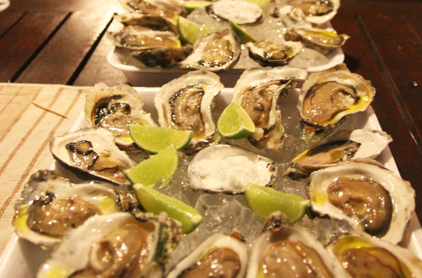 Depuração de ostras garante qualidade do produto e desenvolvimento socioeconômico